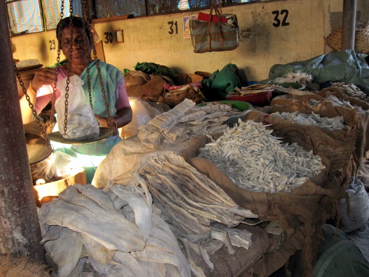 Mangalore Mangalore Mangalore Dry Fish Market